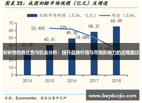 安联赞助商优势与机会分析：提升品牌价值与市场影响力的战略路径