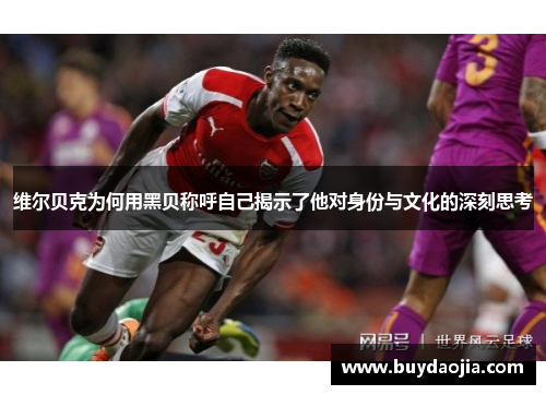 维尔贝克为何用黑贝称呼自己揭示了他对身份与文化的深刻思考